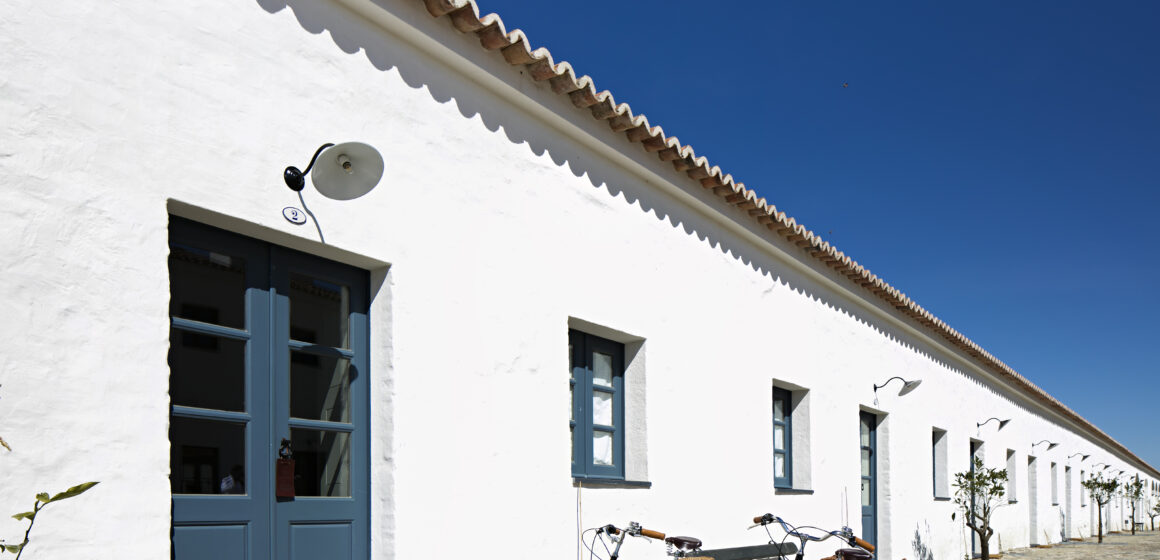 Herdade-de-SAo-LourenA§o-do-Barrocal-crA©dito-Turismo-do-Alentejo Viva experiências autênticas de olivoturismo no Alentejo