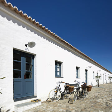 Viva experiências autênticas de olivoturismo no Alentejo