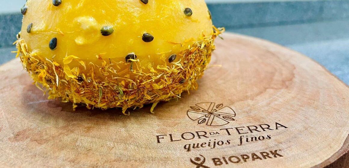 passionata-3- Queijos finos brasileiros disputam pódio global e movimentam agronegócio no Paraná