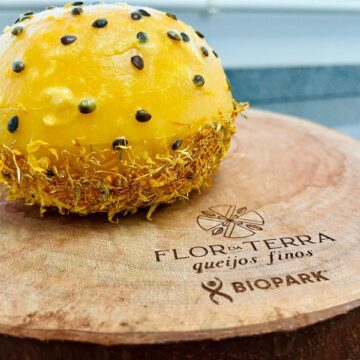 Queijos finos brasileiros disputam pódio global e movimentam agronegócio no Paraná