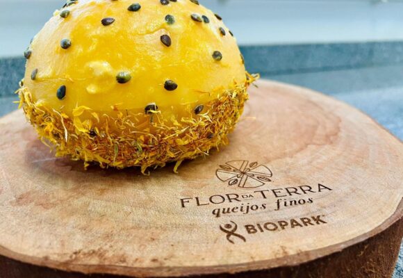 Queijos finos brasileiros disputam pódio global e movimentam agronegócio no Paraná