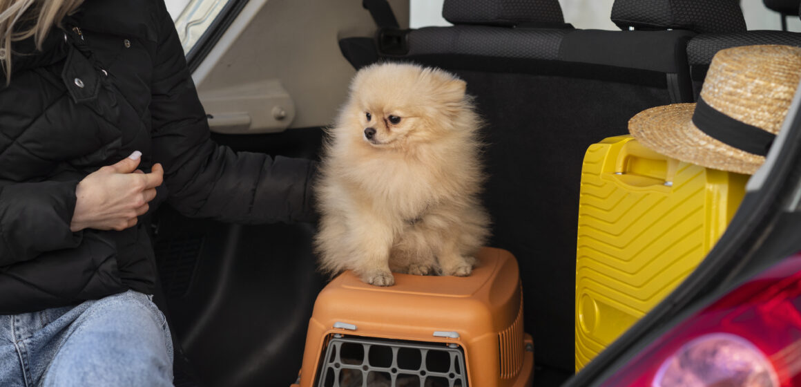 vista-frontal-mulher-no-carro-com-cachorro Saiba cinco dicas essenciais para viajar com o seu pet na alta temporada
