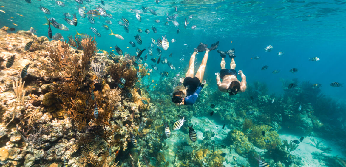 Bahamas celebram conservação e turismo sustentável